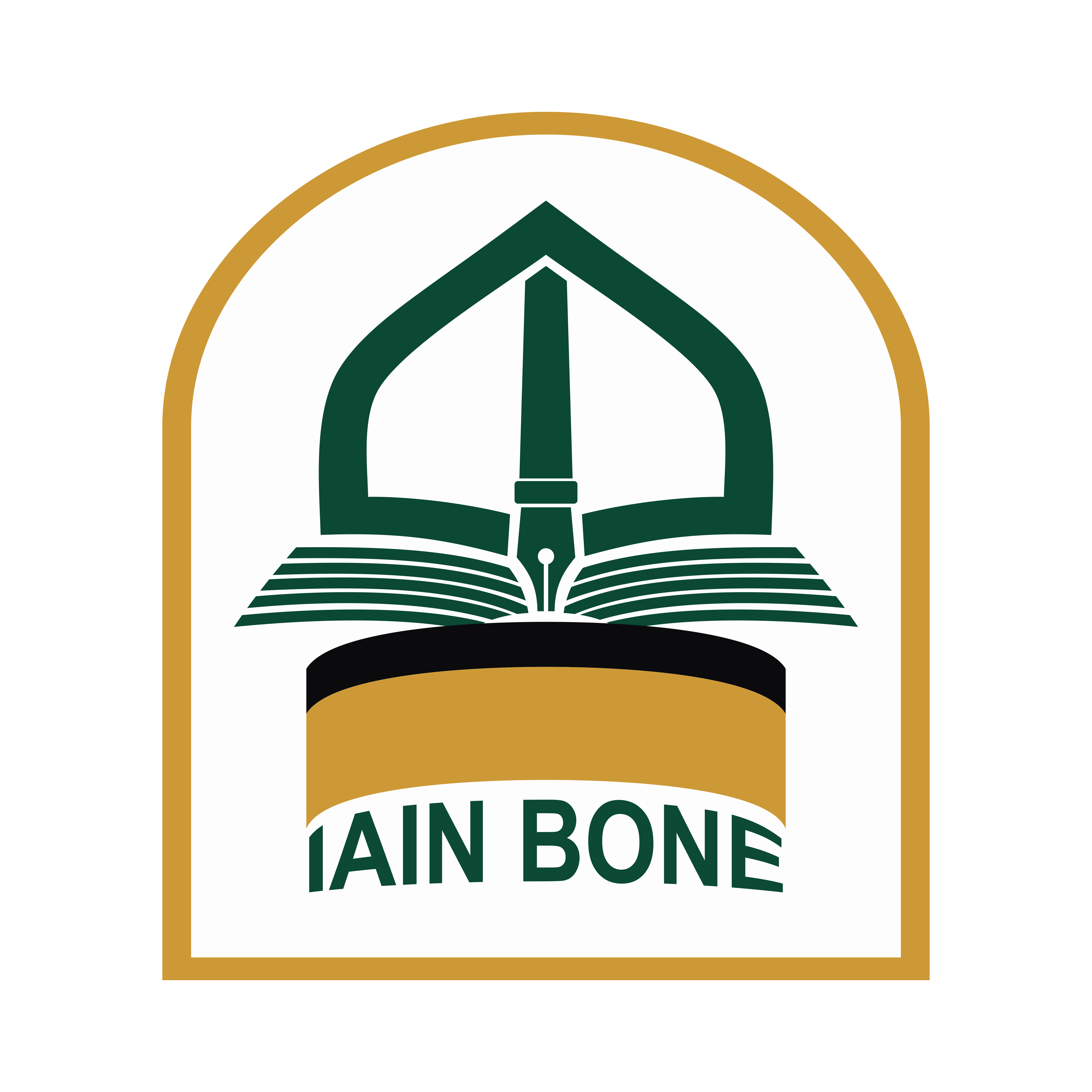 Logo iain bone